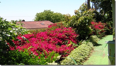Img0886